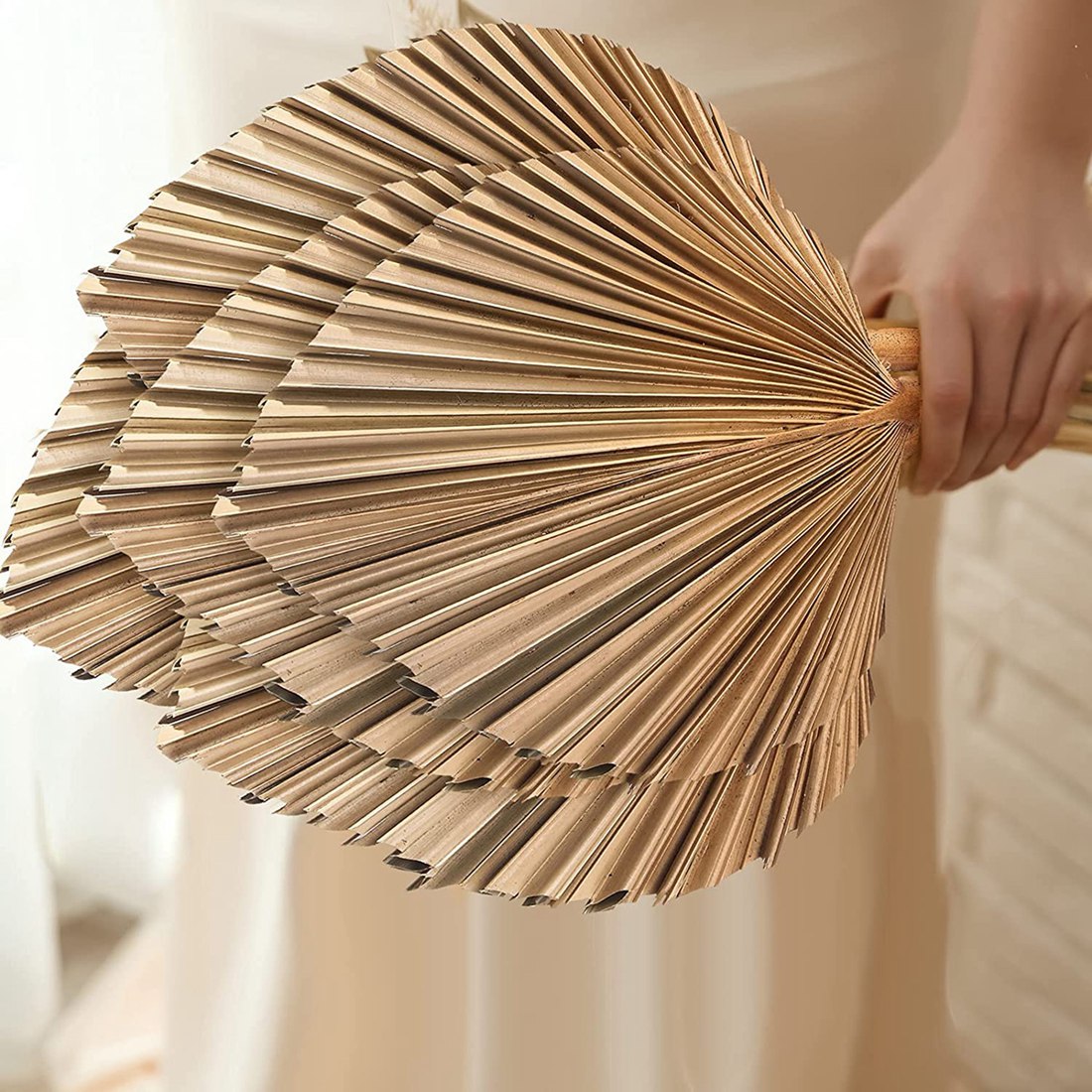Palm Leaf Dried - 5Pcs Natural Dried Palm Leaves Tropical