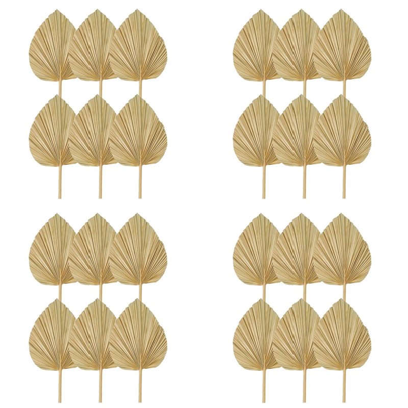 Palm Leaf Dried - 【CHRISTMAS 】24PCS Dried Palm Leaves Natural