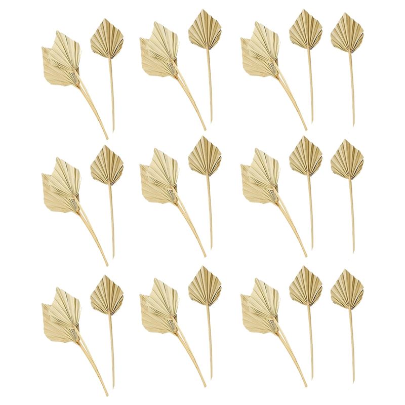 Palm Leaf Dried - AS60-30 Pcs Boho Dried Palm Spears
