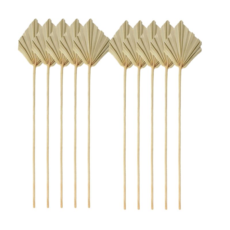 Palm Leaf Dried - TFORU-Boho Dried Palm Spears Small Natural
