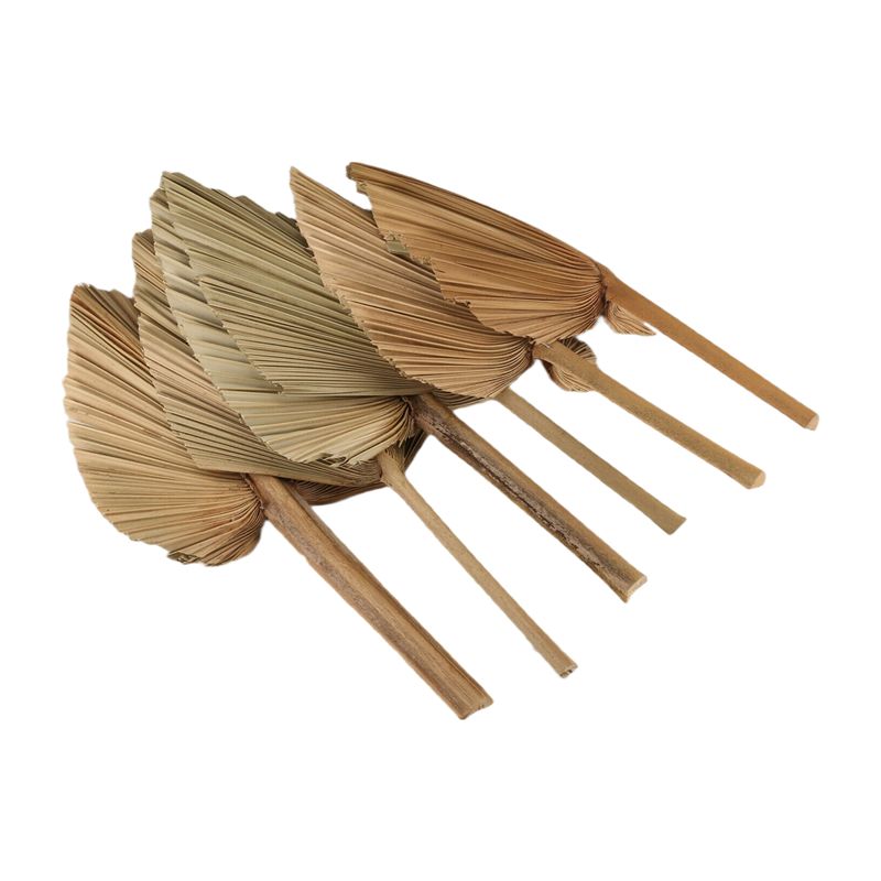 Palm Leaf Dried - ABKO-6PCS Dried Palm Leaves Natural Dried