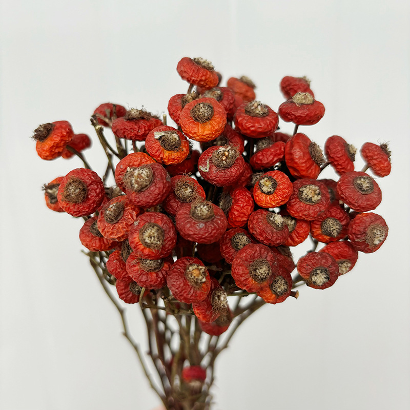 10pcs/Bunch Dried Rose Hip Ber - Dried Flower Bunch recension och pris