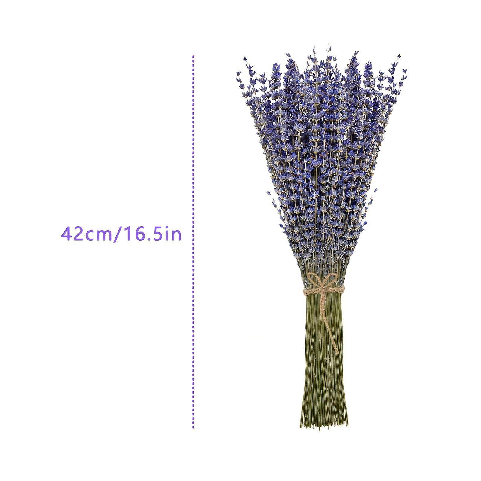 200pcs/Bunch Lavender Dried Fl - Dried Flower Bunch recension och pris