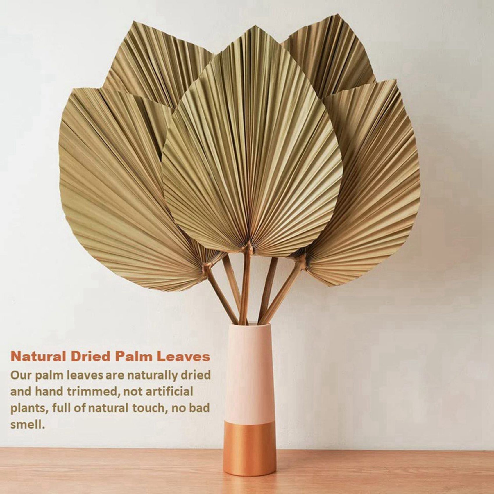 8 Pieces Natural Dried Palm Le - Palm Leaf Dried recension och pris