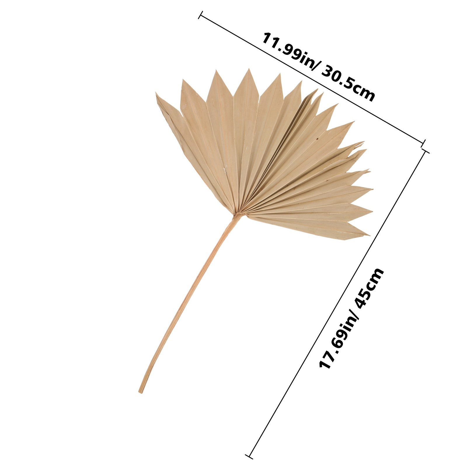 4Pcs Dried Palm Leaves Decorat - Palm Leaf Dried recension och pris
