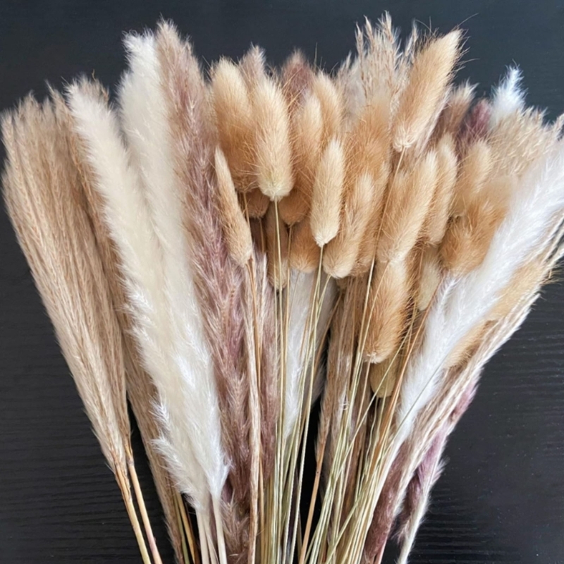 Bulk 100PCS Dried Pampas Grass - Dried Flower Bunch recension och pris