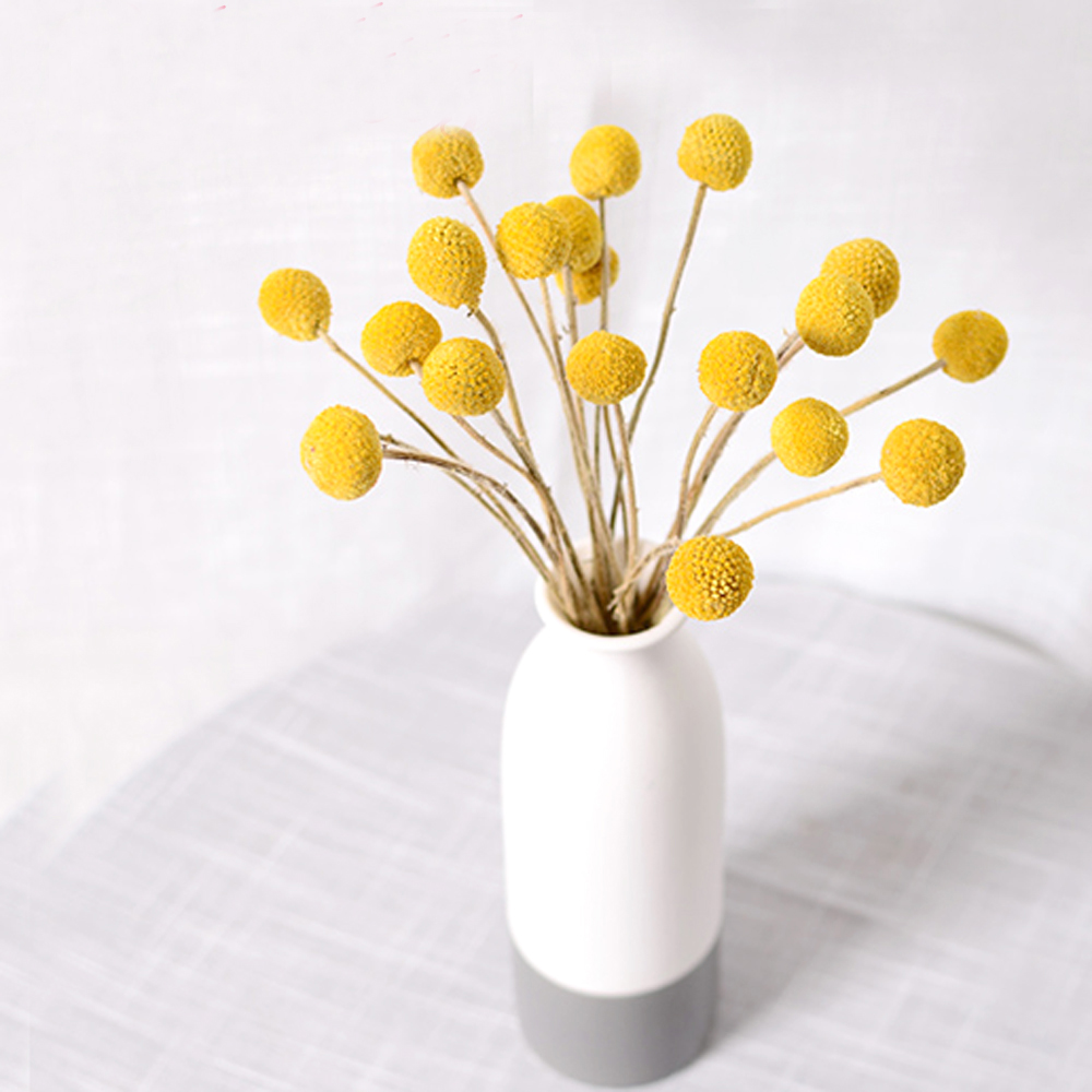 20pcs Natural dried Craspedia  - Dried Flower Bunch recension och pris