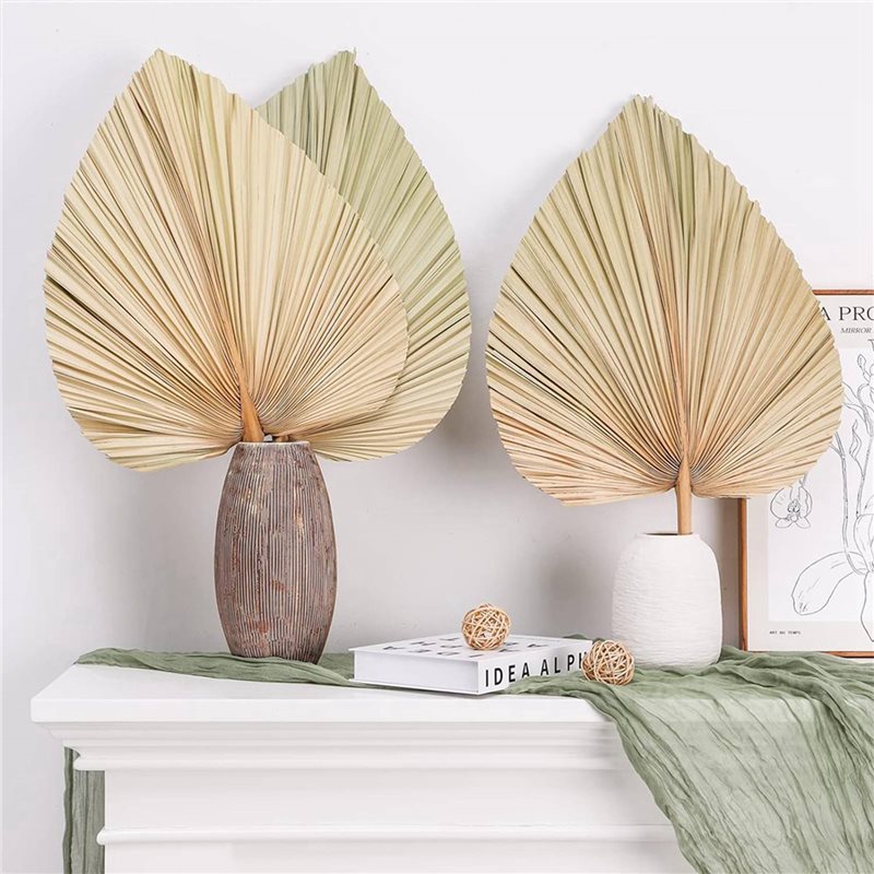 【CHRISTMAS 】24PCS Dried Palm L - Palm Leaf Dried recension och pris