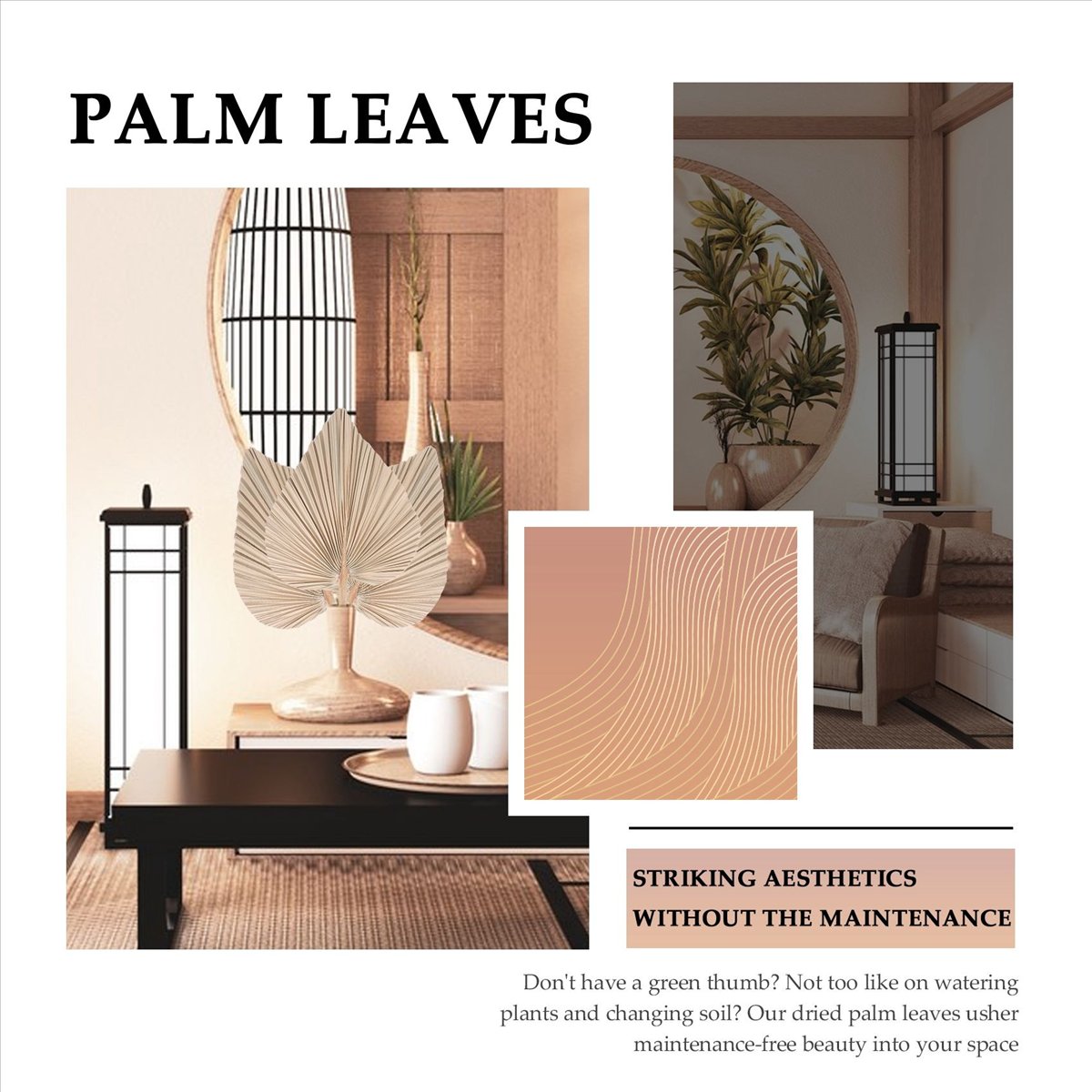 NOCM Dried Palm Leaves Room De - Palm Leaf Dried recension och pris