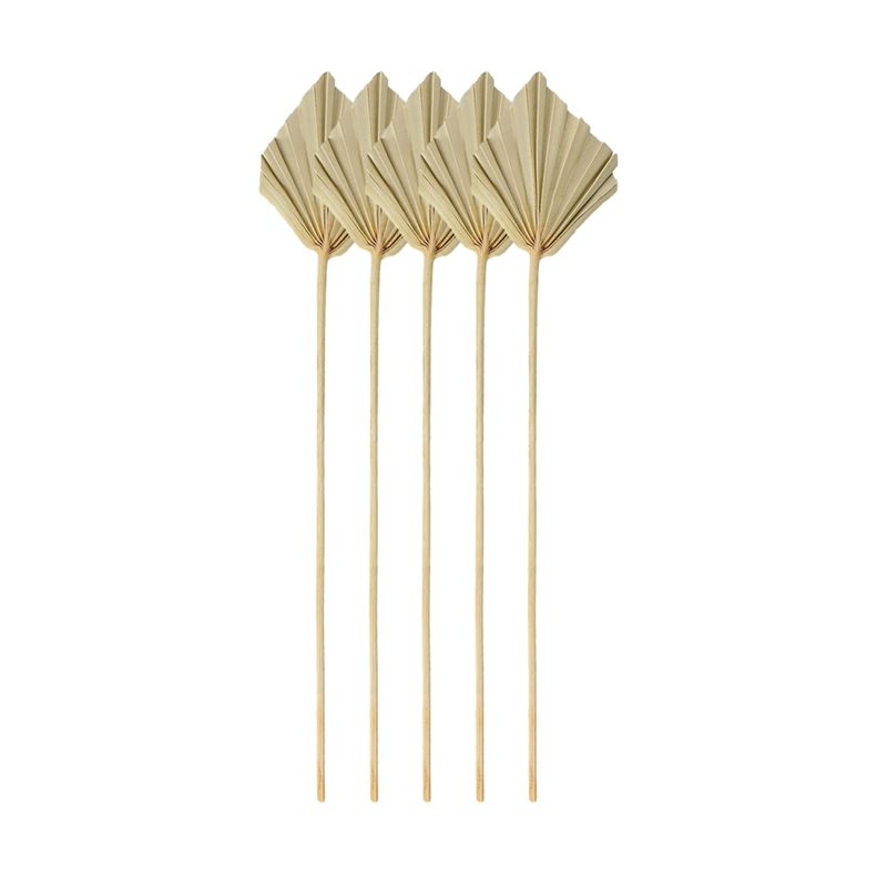 A67P-Boho Dried Palm Spears Sm - Palm Leaf Dried recension och pris