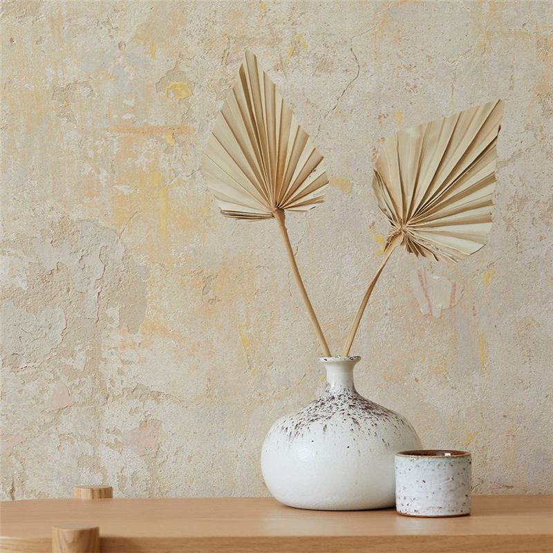 A67P-Boho Dried Palm Spears Sm - Palm Leaf Dried recension och pris