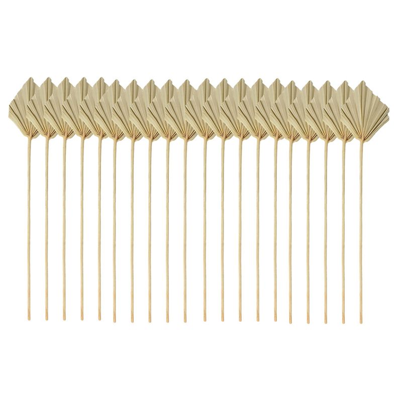 ABYN-Boho Dried Palm Spears Sm - Palm Leaf Dried recension och pris