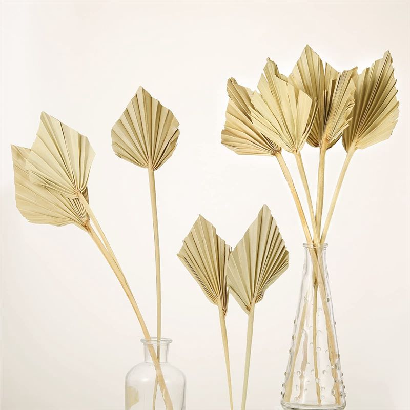 ABYN-Boho Dried Palm Spears Sm - Palm Leaf Dried recension och pris