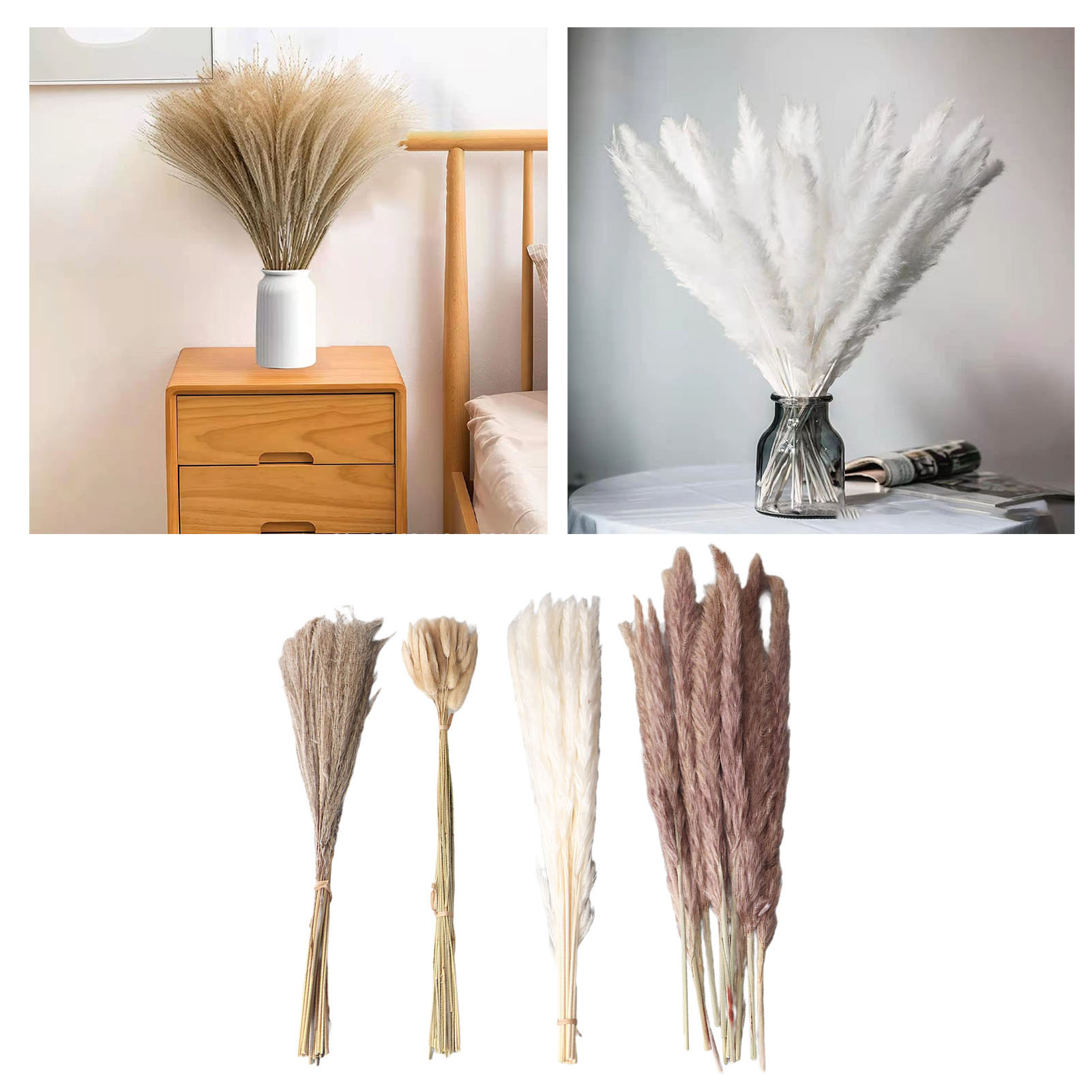 Natural Dried Pampas Grass Flu - Dried Flower Bunch recension och pris