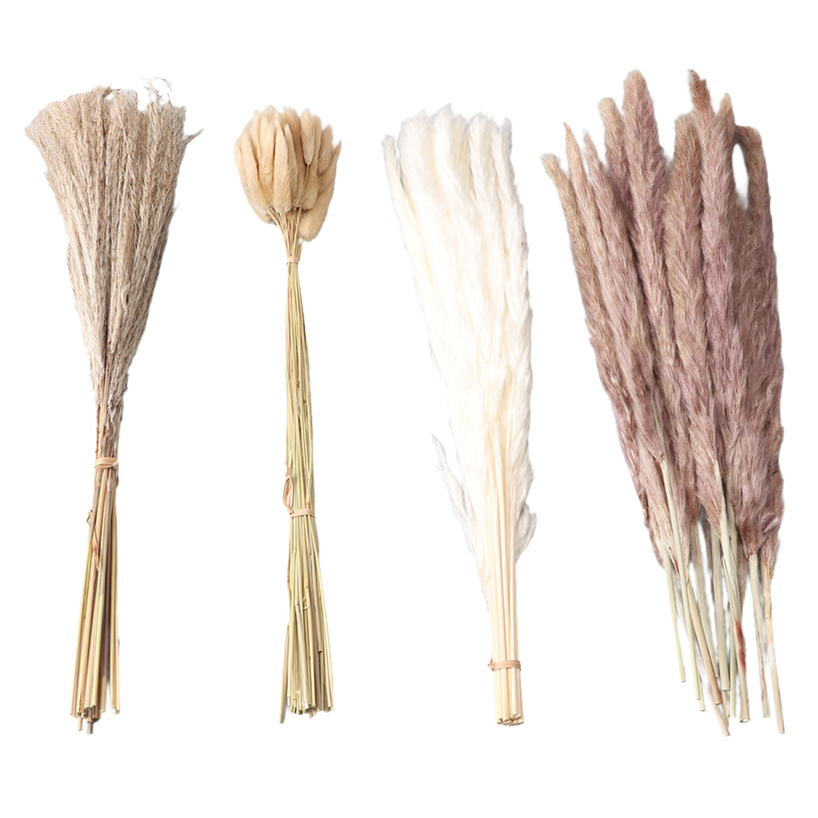 Natural Dried Pampas Grass Flu - Dried Flower Bunch recension och pris