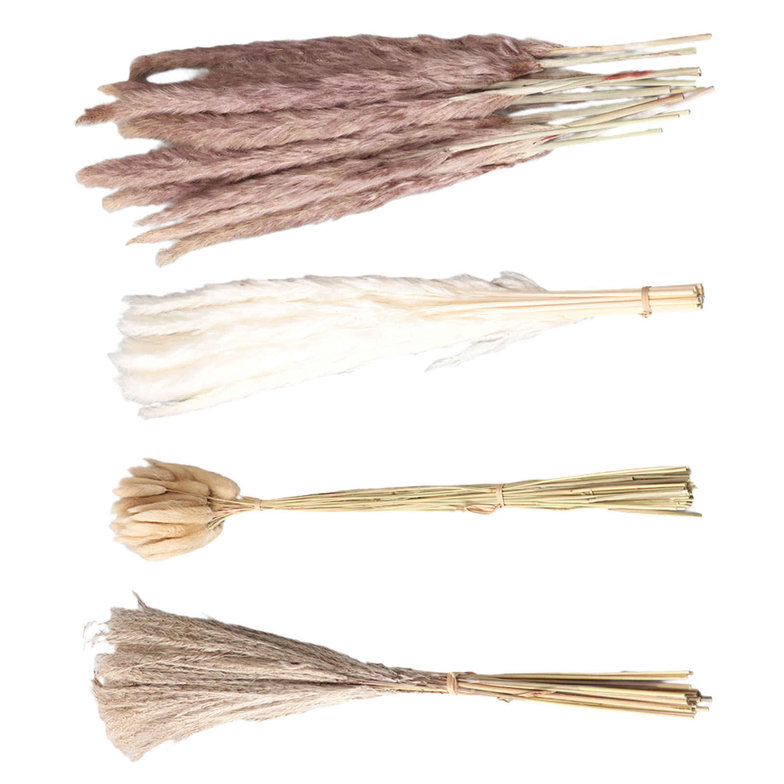 Natural Dried Pampas Grass Flu - Dried Flower Bunch recension och pris