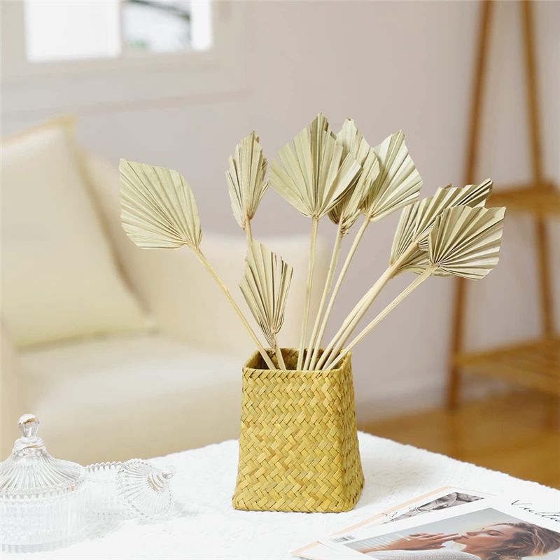 TFORU-Boho Dried Palm Spears S - Palm Leaf Dried recension och pris