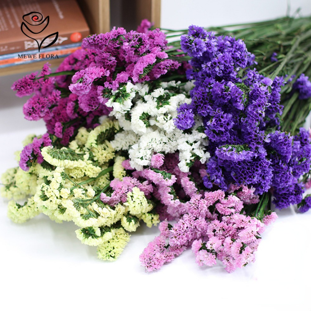 100g Dried Forget Me Not Flowe - Dried Flower Bunch recension och pris