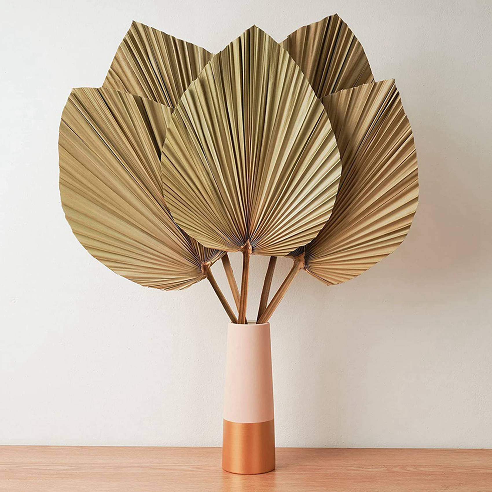Dried Palm Leaves Room Decor 1 - Palm Leaf Dried recension och pris