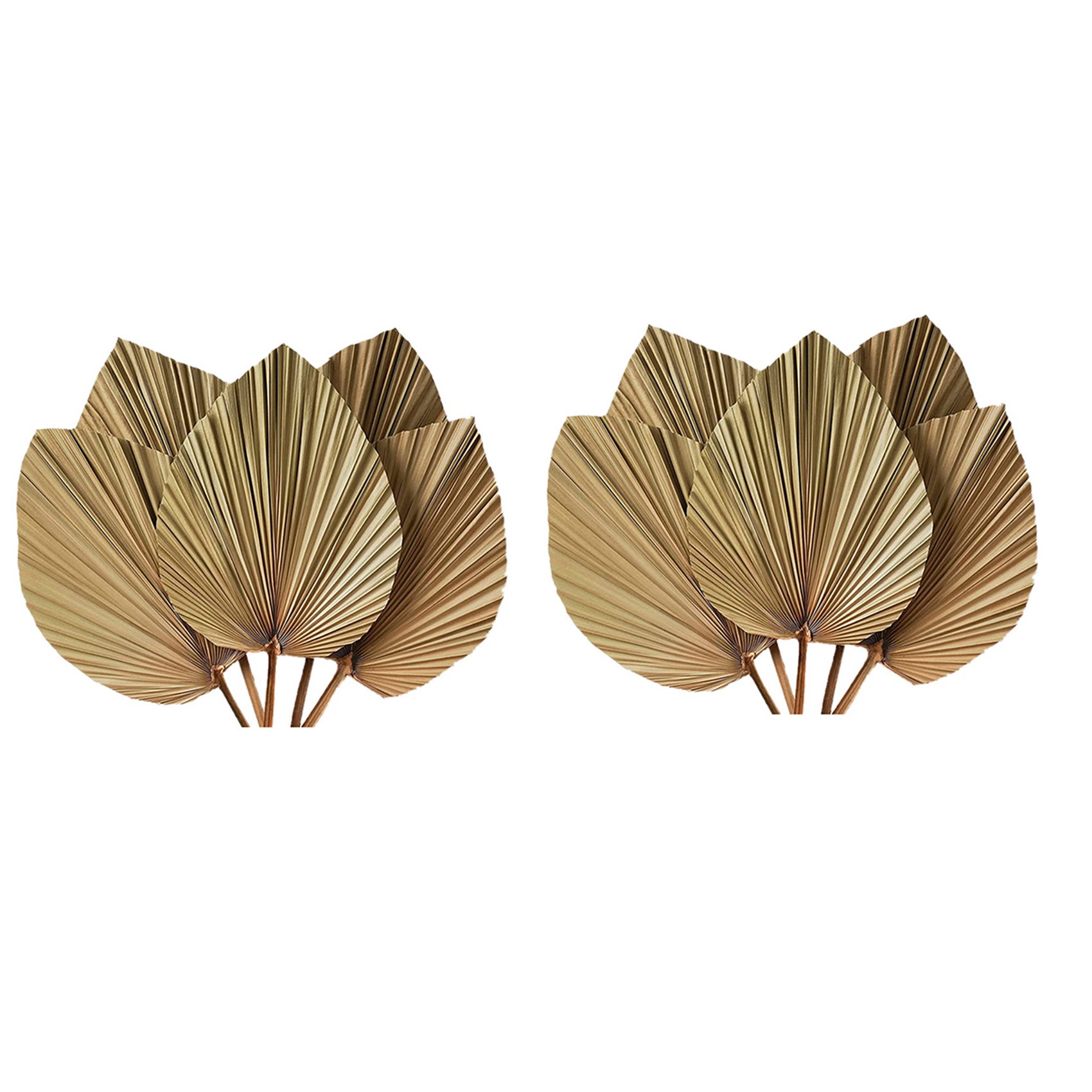 Dried Palm Leaves Room Decor 1 - Palm Leaf Dried recension och pris