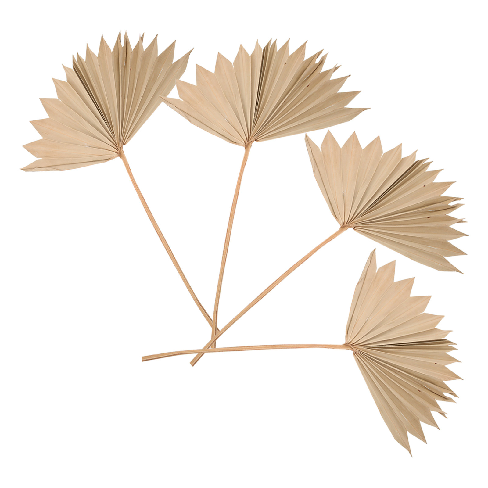 4Pcs Dried Palm Leaf Decoratio - Palm Leaf Dried recension och pris