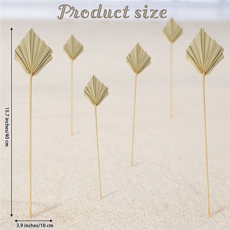A36T-30 Pcs Boho Dried Palm Sp - Palm Leaf Dried recension och pris