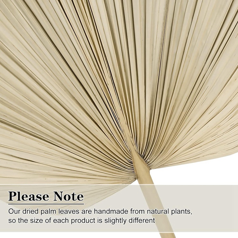 New 6PCS Dried Palm Leaves Nat - Palm Leaf Dried recension och pris