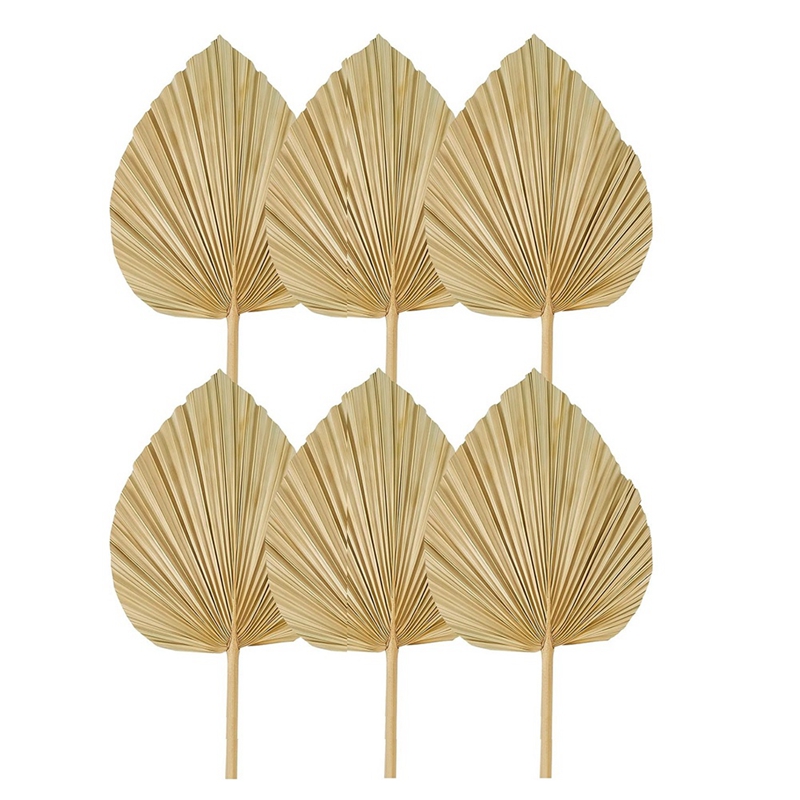 New 6PCS Dried Palm Leaves Nat - Palm Leaf Dried recension och pris