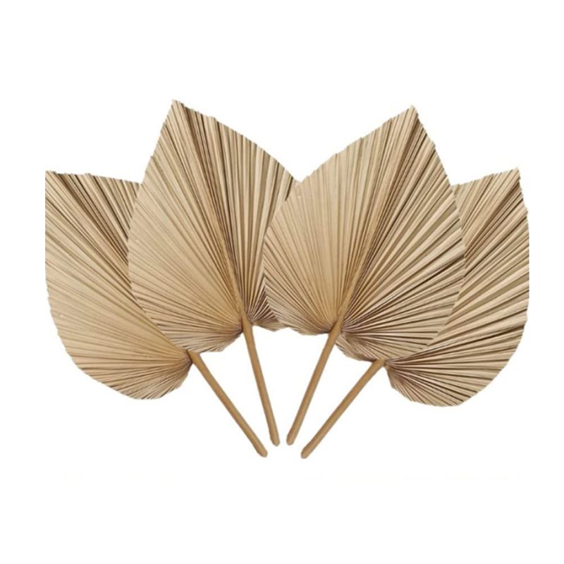 A27F-6Pcs Natural Tropical Dri - Palm Leaf Dried recension och pris