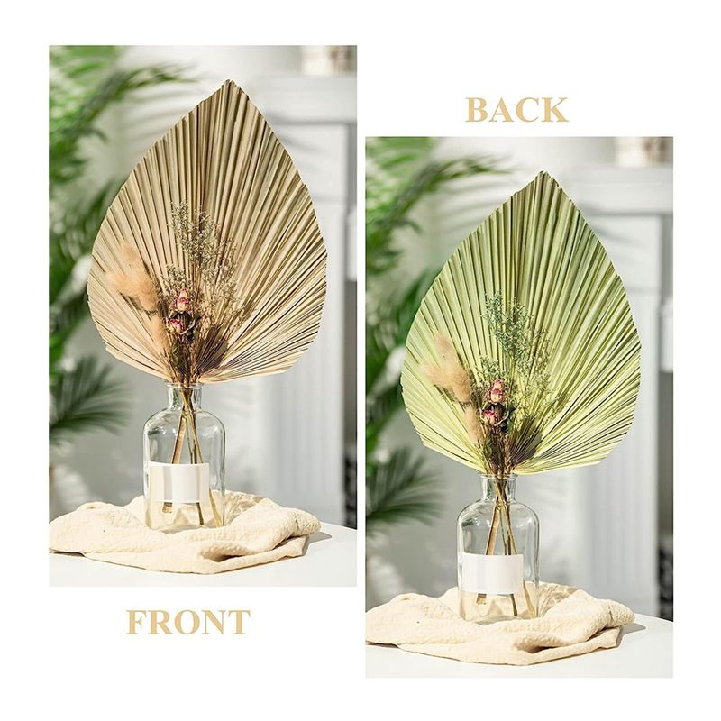 A27F-6Pcs Natural Tropical Dri - Palm Leaf Dried recension och pris