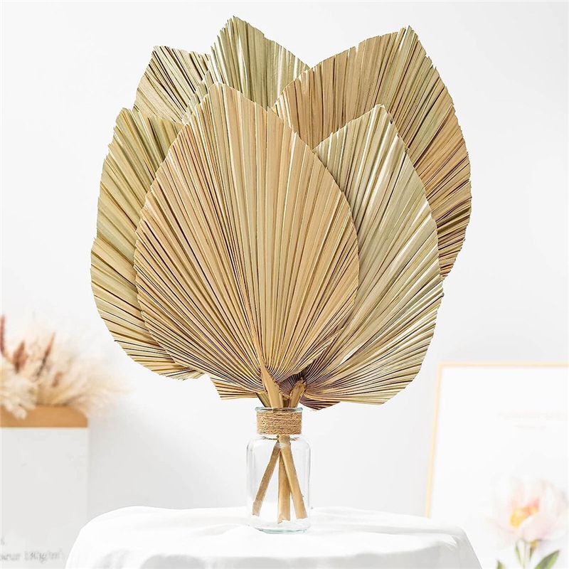 A27F-6Pcs Natural Tropical Dri - Palm Leaf Dried recension och pris