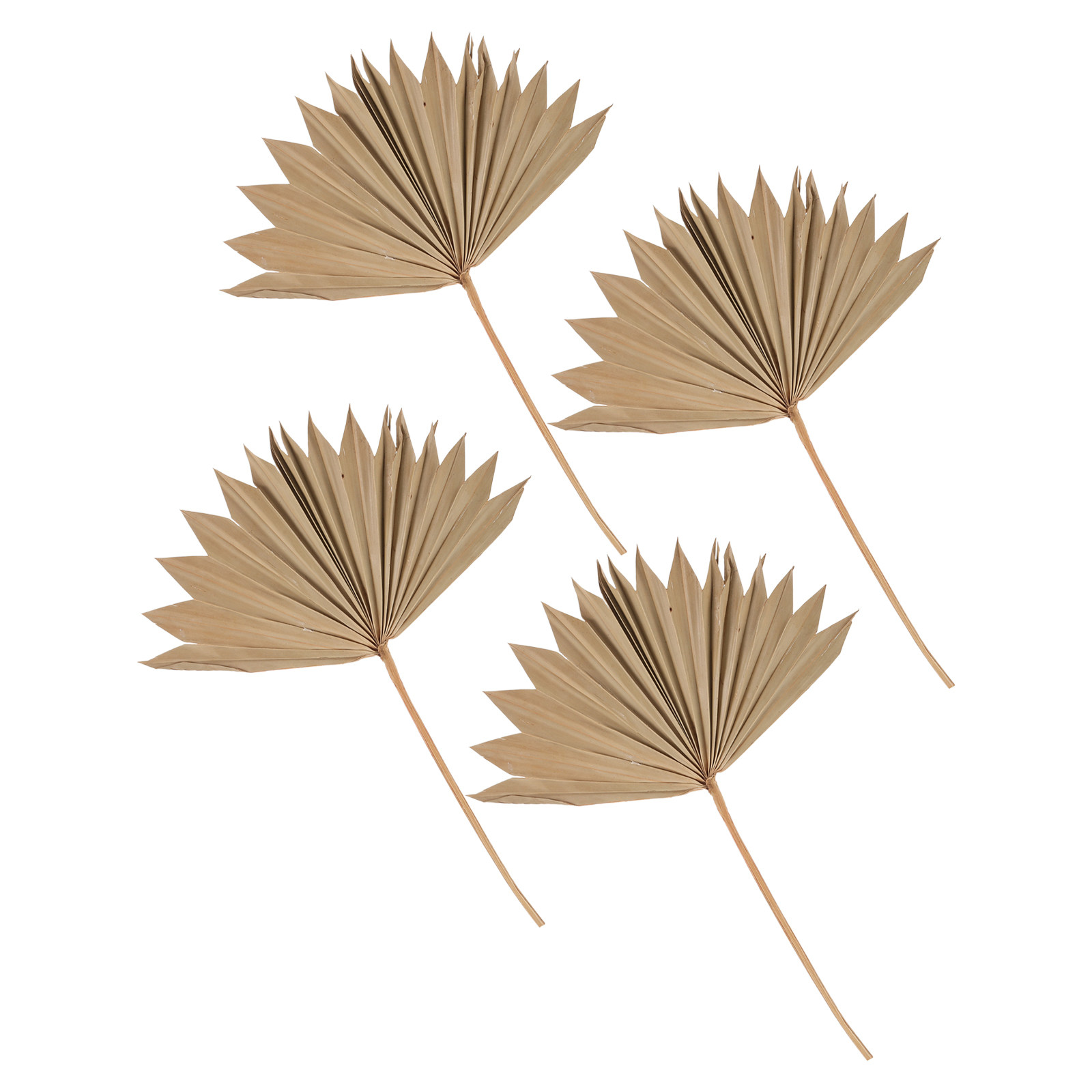 4Pcs Dried Palm Leaf Fan Weddi - Palm Leaf Dried recension och pris