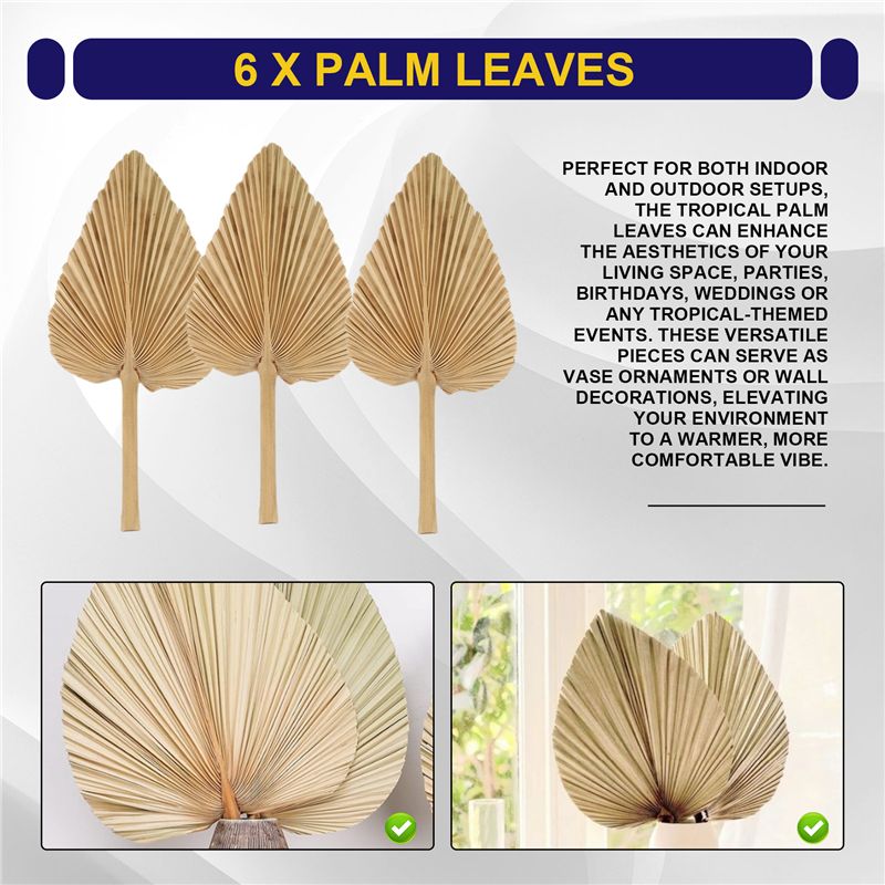 ABKO-6PCS Dried Palm Leaves Na - Palm Leaf Dried recension och pris