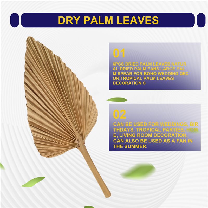 ABKO-6PCS Dried Palm Leaves Na - Palm Leaf Dried recension och pris