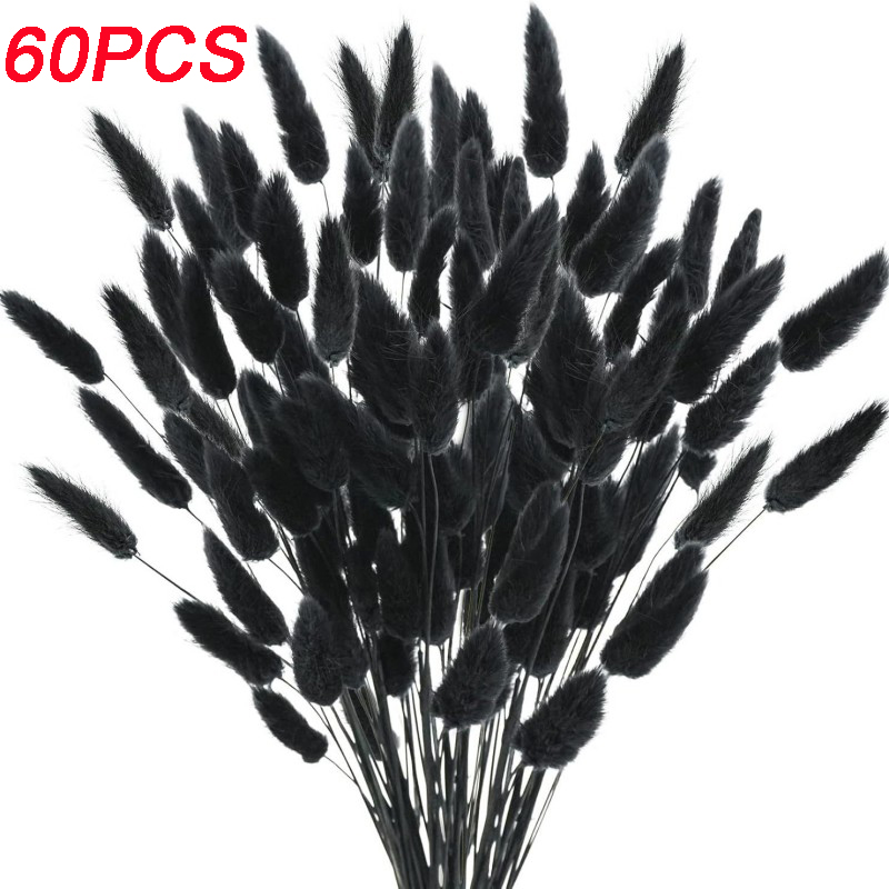 Natural Rabbit Tails Grass Dri - Dried Flower Bunch recension och pris