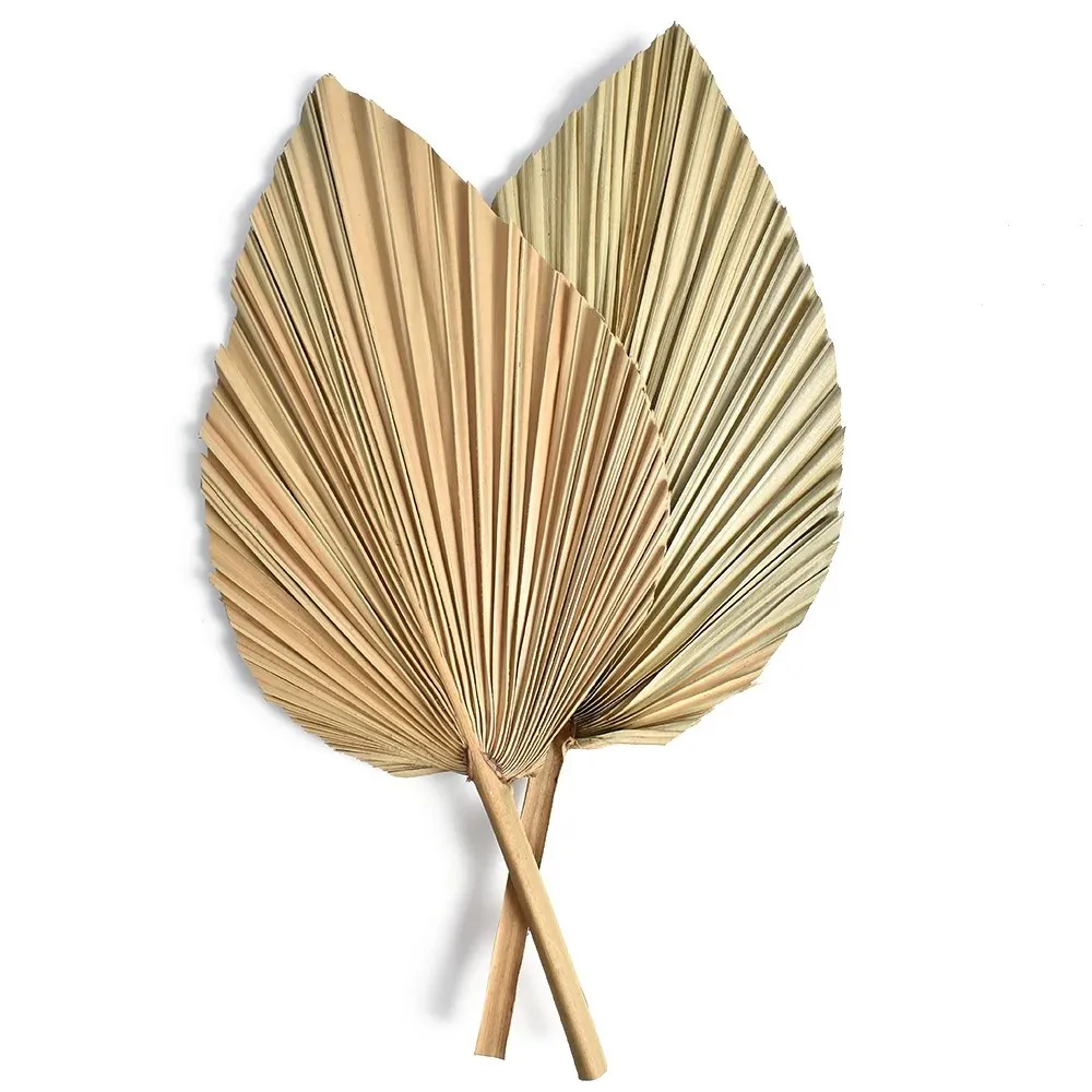 Natural Dried Palm Leaves, DIY - Palm Leaf Dried recension och pris