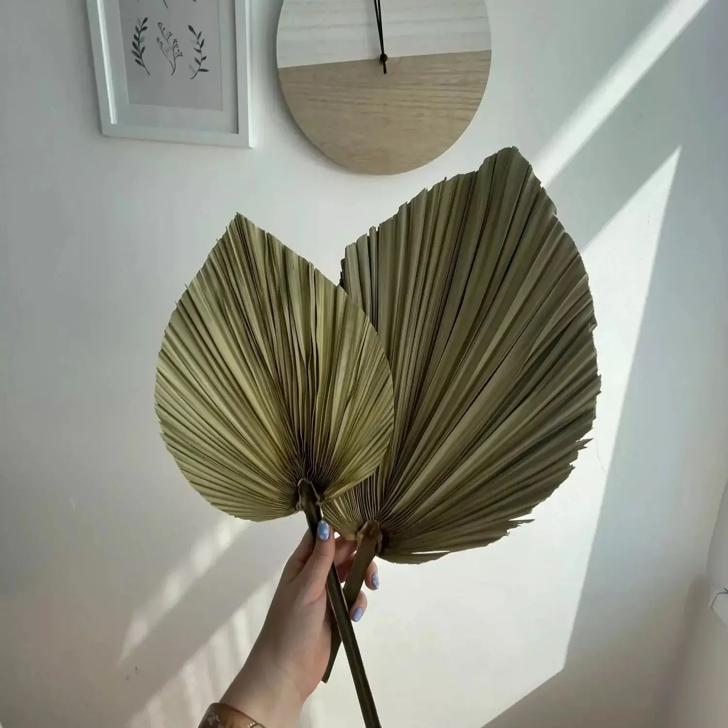 Natural Dried Palm Leaves, DIY - Palm Leaf Dried recension och pris