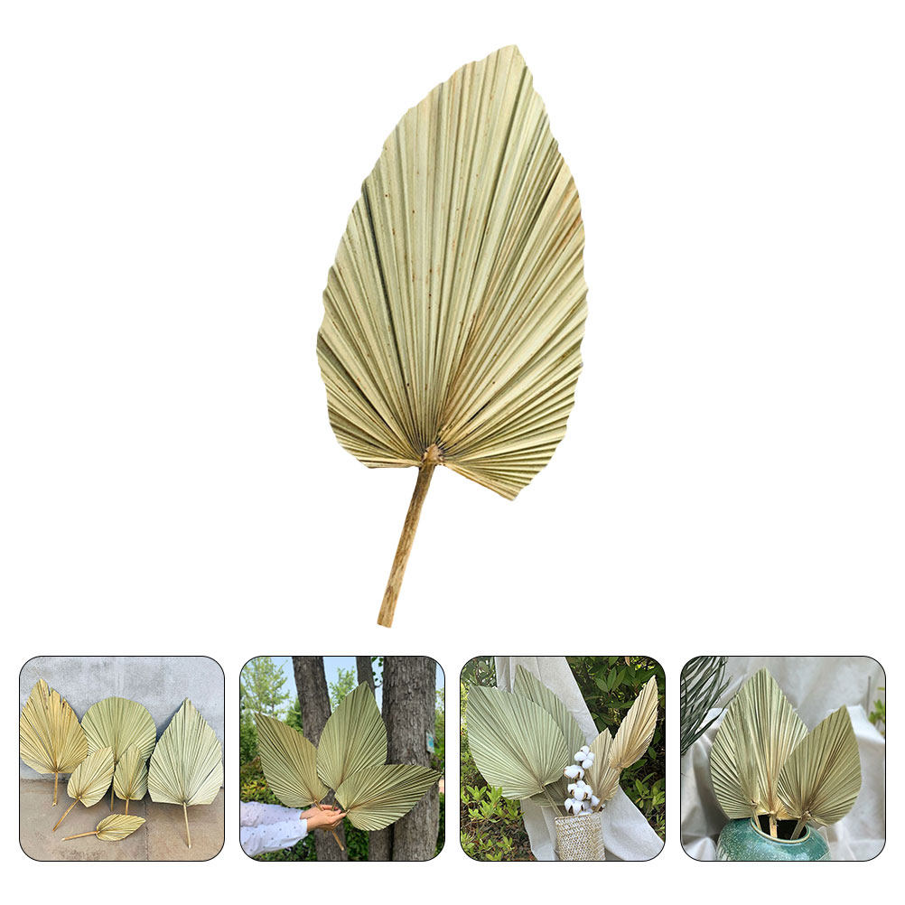 1Pcs Natural Dried Palm Leaf D - Palm Leaf Dried recension och pris